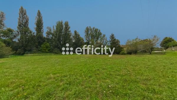 Terrain - 2923 m²