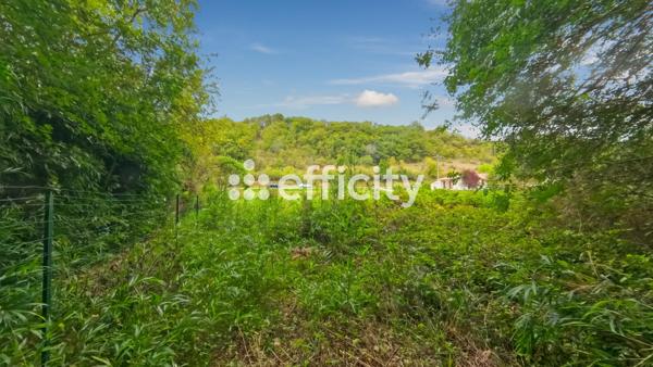 Terrain - 2923 m²