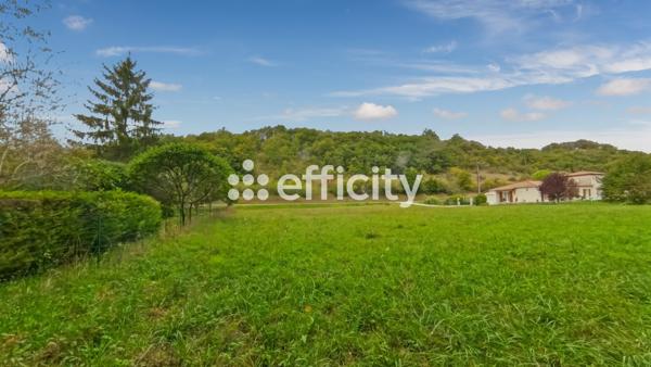 Terrain - 2923 m²