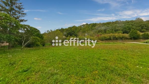 Terrain - 2923 m²