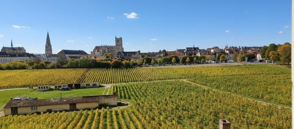 Appartement coup de cœur - Charme et sérénité