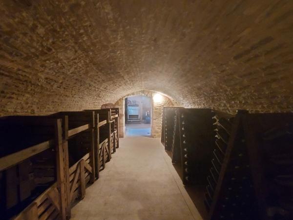 Dpt Aube (10), à vendre LES RICEYS propriété viticole P6 de 262 m² - Terrain de 1 257 m²