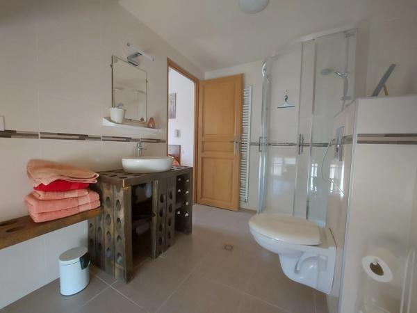 Dpt Aube (10), à vendre LES RICEYS propriété viticole P6 de 262 m² - Terrain de 1 257 m²