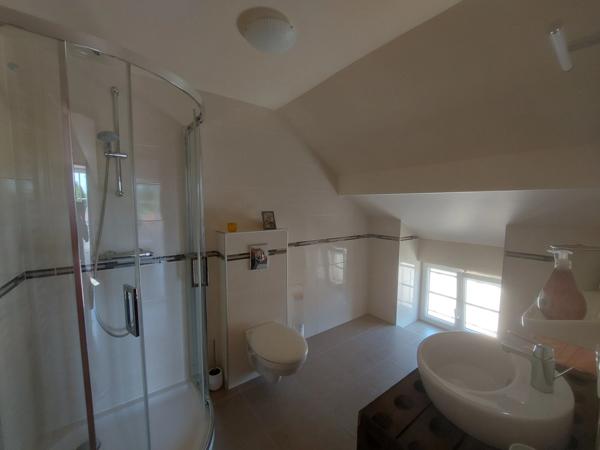 Dpt Aube (10), à vendre LES RICEYS propriété viticole P6 de 262 m² - Terrain de 1 257 m²