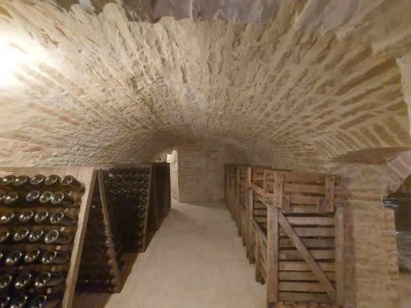 Dpt Aube (10), à vendre LES RICEYS propriété viticole P6 de 262 m² - Terrain de 1 257 m²