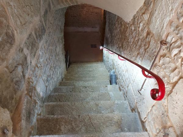 Dpt Aube (10), à vendre LES RICEYS propriété viticole P6 de 262 m² - Terrain de 1 257 m²