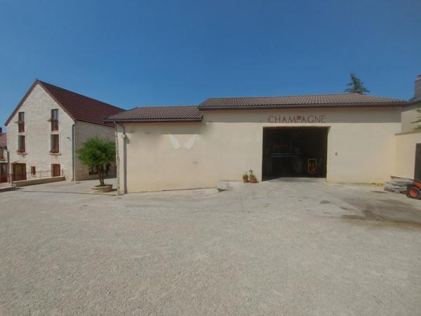 Dpt Aube (10), à vendre LES RICEYS propriété viticole P6 de 262 m² - Terrain de 1 257 m²