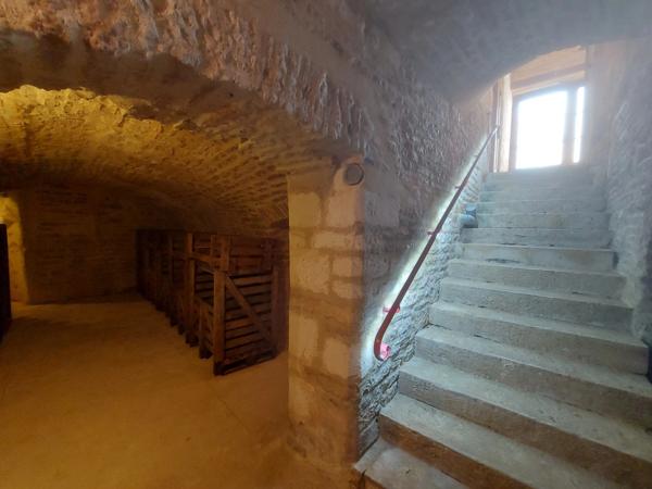 Dpt Aube (10), à vendre LES RICEYS propriété viticole P6 de 262 m² - Terrain de 1 257 m²