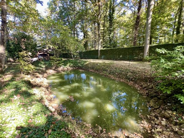 Marcoussis (91460) Propriété d'exception sur la butte de Marcoussis- 2 maisons- Piscine- Terrain boisée de 3279m2