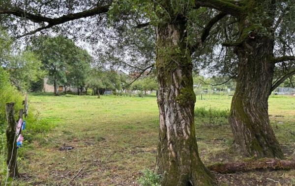 Vente Maison de village Avec grand terrain à rénover Maizey   