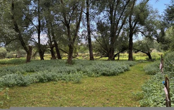 Vente Maison de village Avec grand terrain à rénover Maizey   