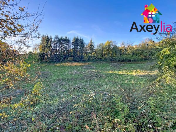 Sevelinges (42460) A VENDRE - SEVELINGES - GROS POTENTIEL - MAISON AVEC 4 CHAMBRES, SOUS-SOL, COMBLES AMÉNAGEABLES ET GRAND TERRA