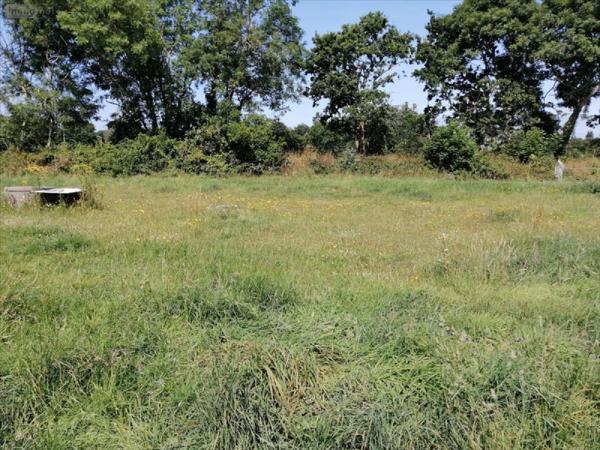 Terrain à Batir à vendre à Gouville-sur-Mer dans la Manche (50560), ref : 6794