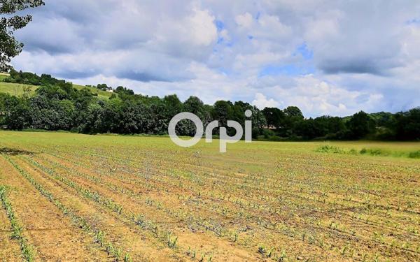 Maison à vendre    7 pièces •  Oloron-Sainte-Marie