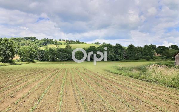 Maison à vendre    7 pièces •  Oloron-Sainte-Marie