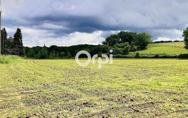 Maison à vendre    7 pièces •  Oloron-Sainte-Marie