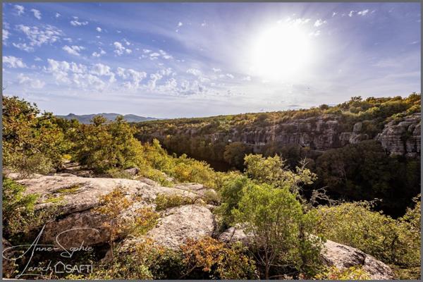 VILLA D'EXCEPTION NICHÉE EN PLEINE NATURE / RÉNOVATION 2023