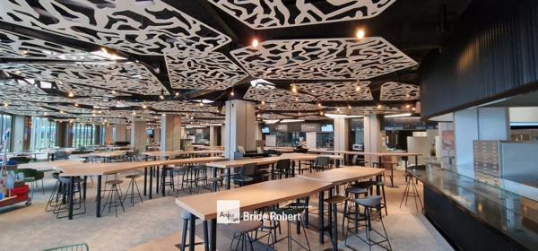 Bureaux à louer Lyon espace professionnel avec terrasse et parking inclus