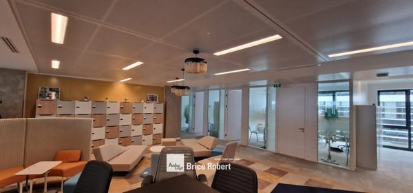Bureaux à louer Lyon espace professionnel avec terrasse et parking inclus