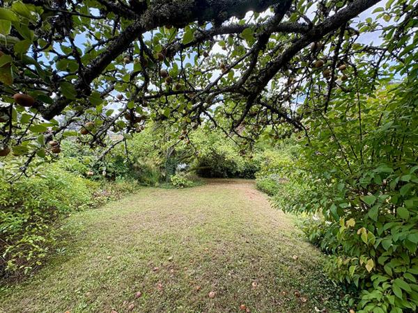 Maison Gif Sur Yvette 6 pièce(s) 191.99 m2