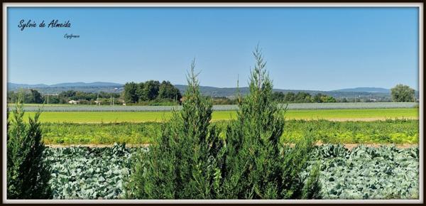 Maison à vendre 6 pièces MANZIAT (01)proche MACON plain-pied 140 m²,terrain 2500 m², garage 66 m²