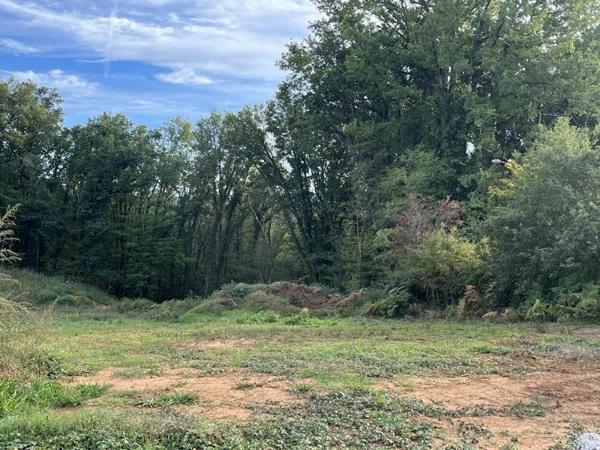 Terrain à vendre |  Saint-Amand-de-Coly |  1187 m²