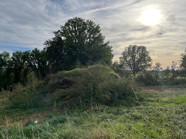 Terrain à vendre |  Saint-Amand-de-Coly |  1187 m²