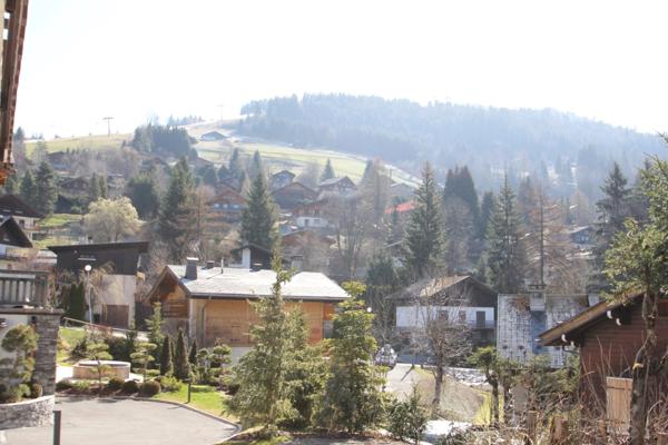 Appartement à vendre 3 pièces traversant avec vue LA CLUSAZ (74)