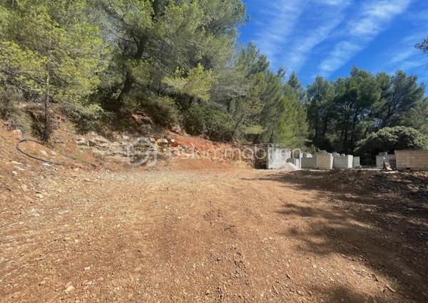 Terrain de 40 890 m²