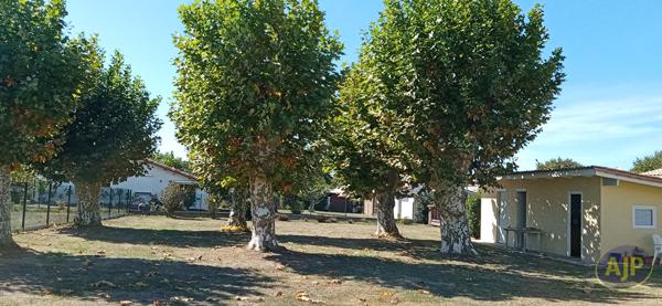 Terrains à vendre Lege Cap Ferret : surface de 802 m2 à 189 900€ - AJP Immobilier Lège-Cap-Ferret
