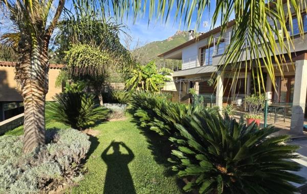 Vente Maison 3 appartements indépendant neuf Bastelicaccia   