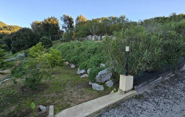 Vente Maison 3 appartements indépendant neuf Bastelicaccia   