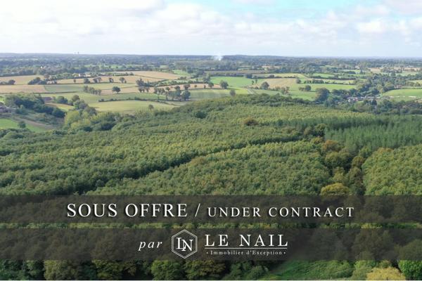 Intéressant massif forestier de 49 ha en Haut-Anjou