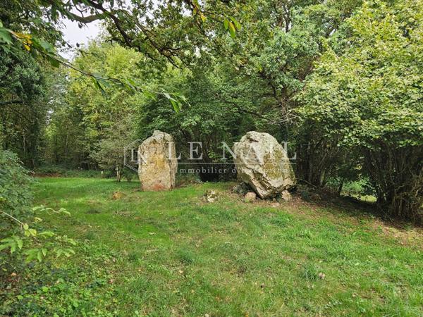 Intéressant massif forestier de 49 ha en Haut-Anjou