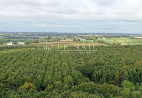 Intéressant massif forestier de 49 ha en Haut-Anjou