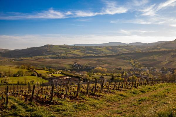 Vente Maison de luxe Solutré-Pouilly 10 Pièces 350 m²