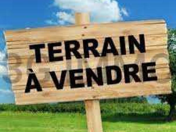 Vente / Terrain constructible