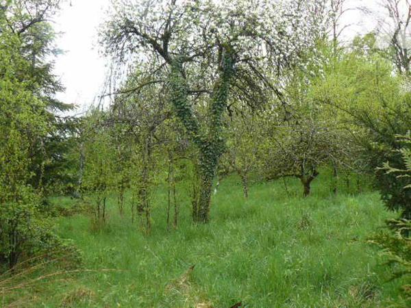 Maison à Vendre à Isches (88320) en Vosges (88)

Situation géographique : La maison se situe ...