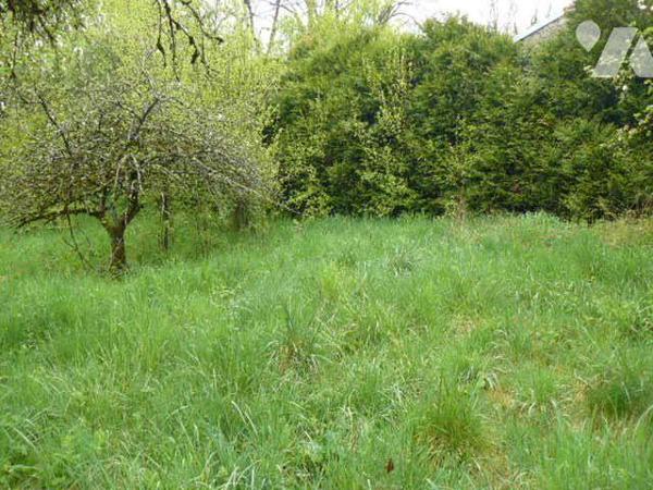 Maison à Vendre à Isches (88320) en Vosges (88)

Situation géographique : La maison se situe ...