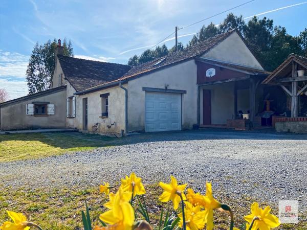 Maison Precigne 7 pièce(s) 159 m2