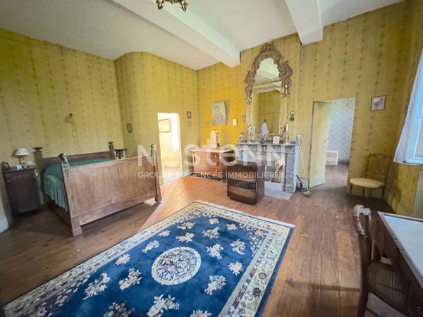A VENDRE MAGNIFIQUE CHATEAU DU XVIIe SIECLE AVEC DEPENDANCE SUR 3 HECTARES.