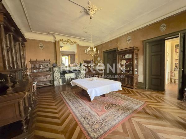 A VENDRE MAGNIFIQUE CHATEAU DU XVIIe SIECLE AVEC DEPENDANCE SUR 3 HECTARES.