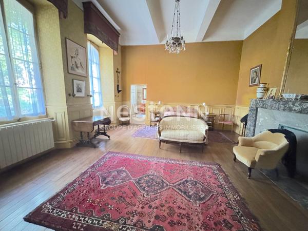 A VENDRE MAGNIFIQUE CHATEAU DU XVIIe SIECLE AVEC DEPENDANCE SUR 3 HECTARES.