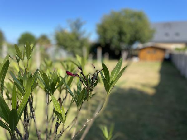 Ensemble de 2 maisons - 3 et 2 chambres