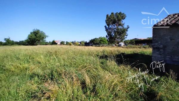 Vous recherchez un terrain qui a du cachet ? Voici une opportunité rare sur le secteur !