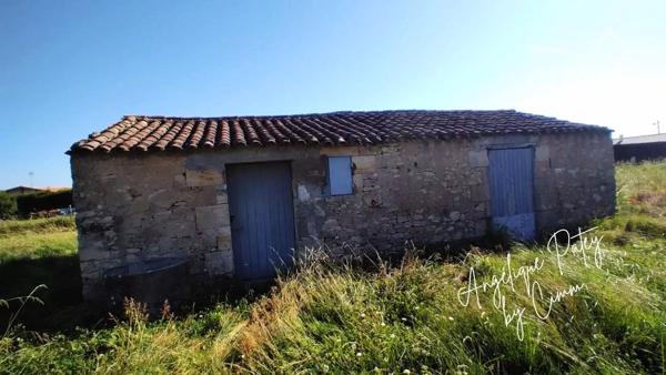Vous recherchez un terrain qui a du cachet ? Voici une opportunité rare sur le secteur !