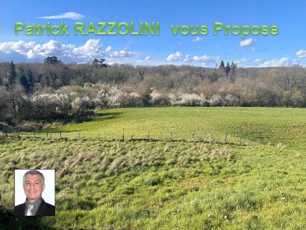 Vente / Terrain constructible