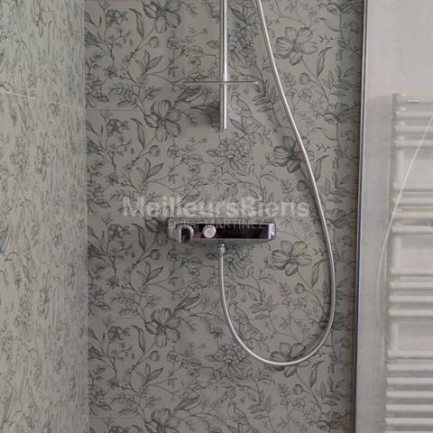 Rabastens centre: belle maison T4 restaurée vue sur le Tarn