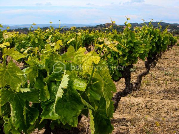 Terrain agricole de 6 565 m²