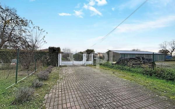 Maison à vendre    7 pièces •  Bantzenheim